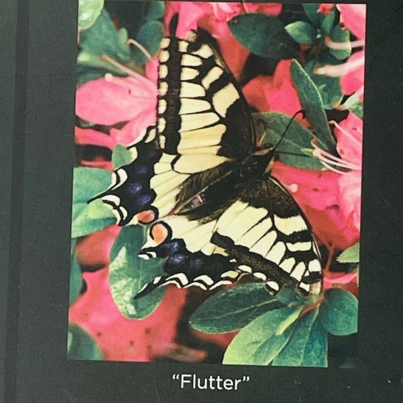 Double Sided Jigsaw Brainteaser Puzzle Butterflies Flutter Bright Beauty 4.25" - Picture 12 of 13